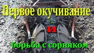 Окучивание картофеля Самодельным культиватором