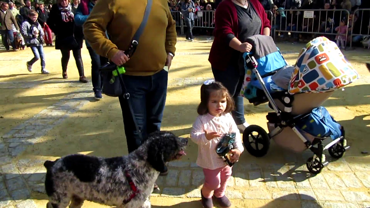 Desfile de Animales por San Antón Jerez de la Frontera 2018