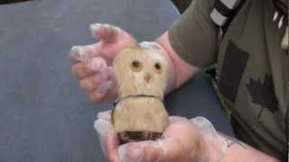 Lost Canadiana The Story Of The Ookpik Canadian Wildlife And Culture