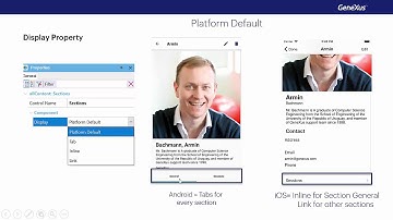Controls: Container of sections in the Detail screen of the Work With
