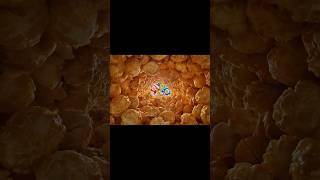Popcorn Tunnel for Chupa Chups  #behindthescenes