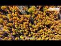 Colorful autumn in northwest China&#39;s Qinghai