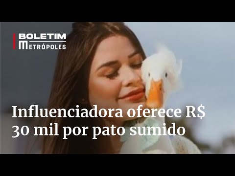 Influenciadora oferece recompensa de R$ 30 mil por pato desaparecido