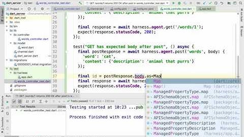 Lesson 17 - Server Side Dart: Testing GET requests