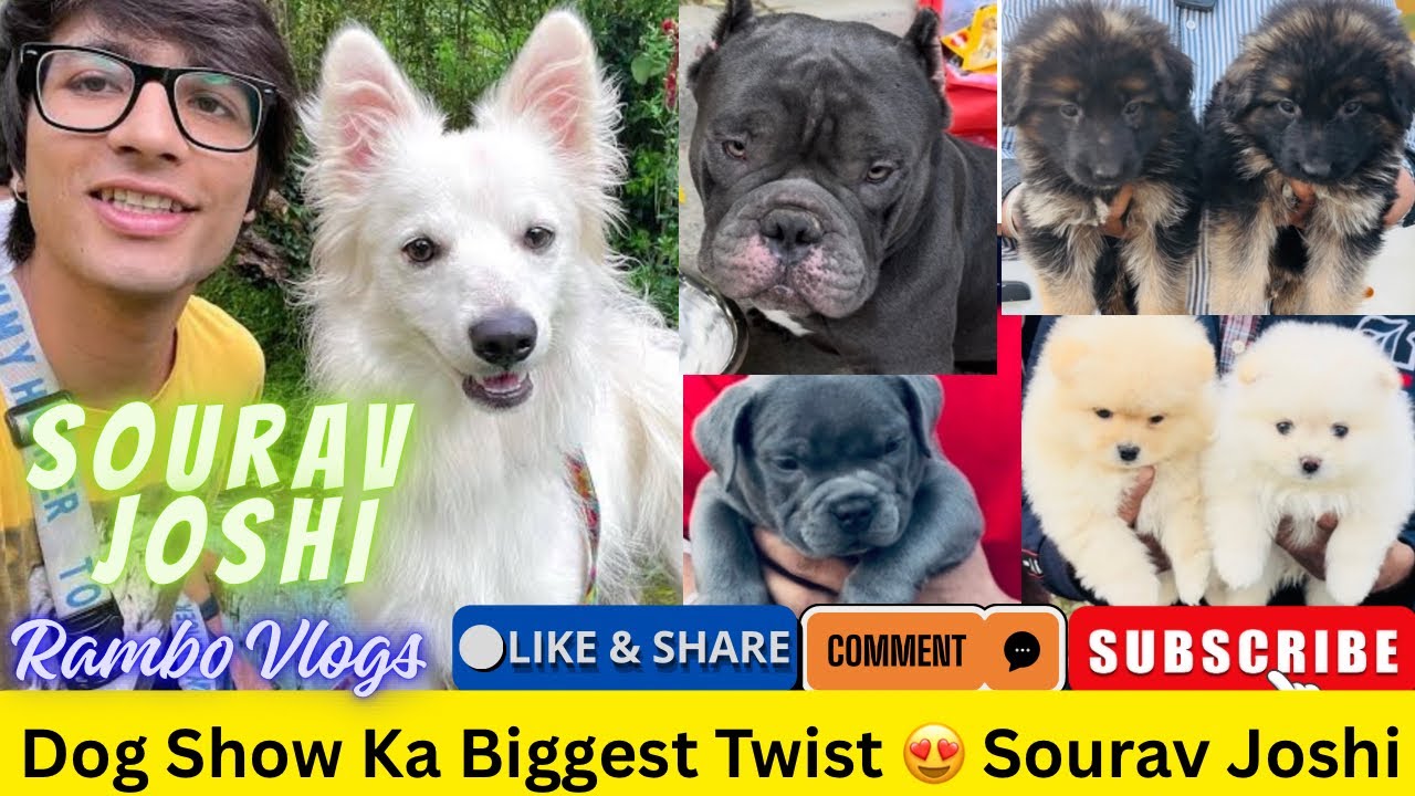 Dog Show Ka Biggest Twist 😍 Sourav Joshi 