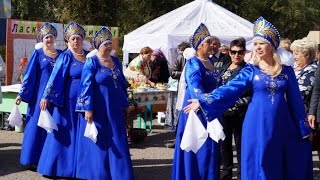 видео Луговая Пролейка (Россия, Волгоградская область, Быковский район)