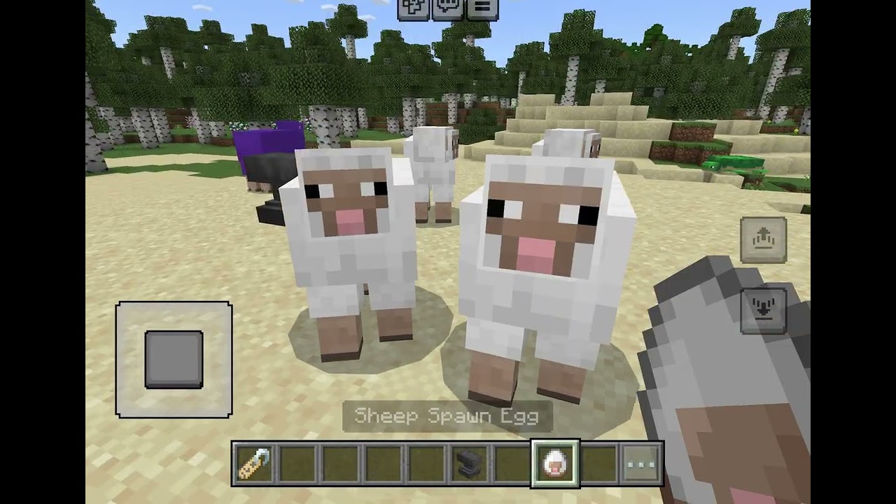 How to make rainbow sheep