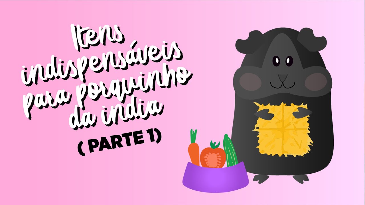 Comprei/adotei um porquinho da índia. E agora? (PARTE 1)
