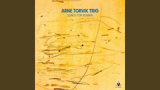 Places To Write (feat. Bjørnar Kaldefoss Tveite & Øystein Aarnes Vik) - Arne Torvik Trio