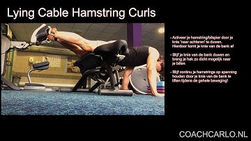 Lying Cable Hamstring Curls