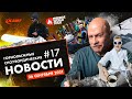 Горнолыжные и сноубордические новости | Дайджест №17