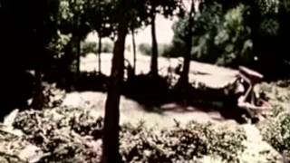 Om Unit - Healing Rain
