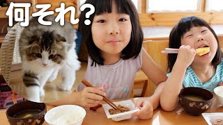 もふ猫に初めて納豆をあげてみたら…