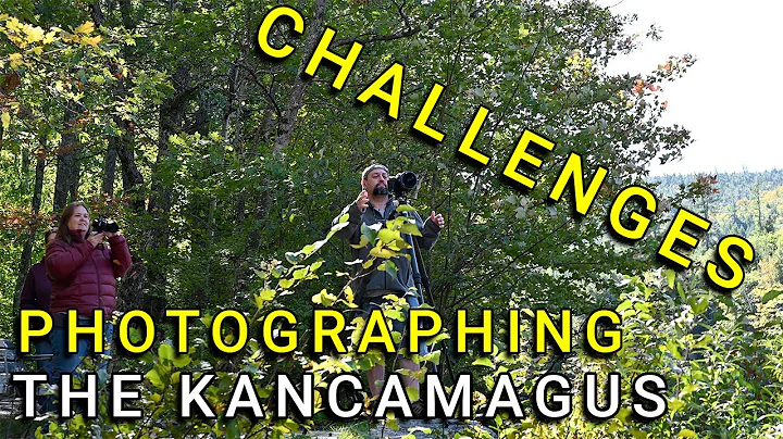 Challenging Field Conditions Photographing the Kan...