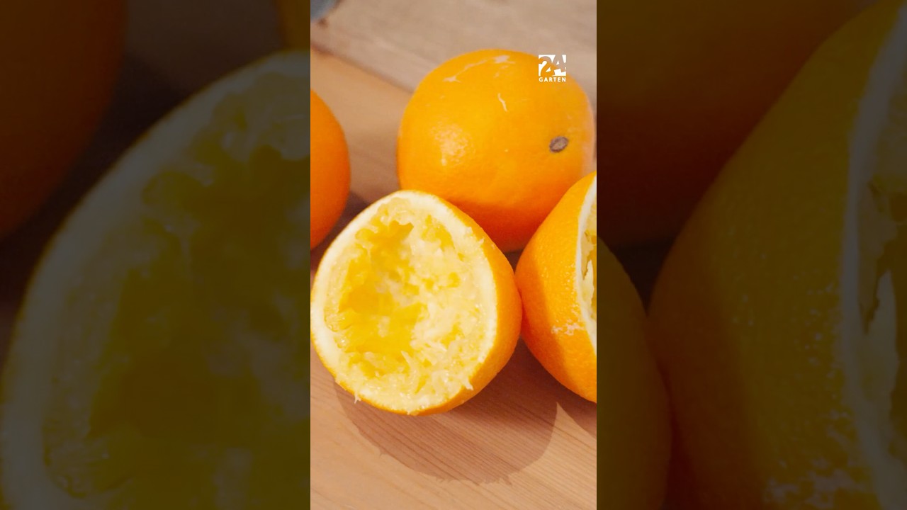 Orangenschalen als Dnger? Das solltest du wissen! | 24Garten - YouTube