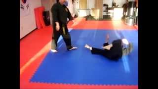 Combat Hapkido Trip III