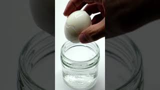 Celebrity This Egg Peeling Hack is Genius! Profile