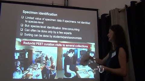 BITC / Data Capture - Vision for an Insect Collection - part 3