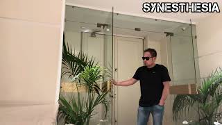 SYNESTHESIA (Half Song Cover) #coversong #halfsong #trendingvideo 