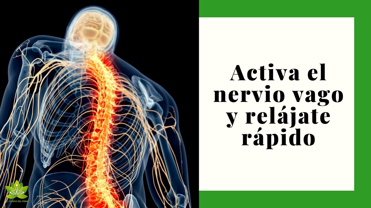 Activa el nervio vago y relájate rápido - YouTube