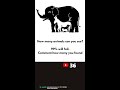 IQ-TEST: Can you solve it?