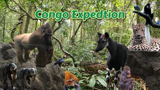 Columbus Tours Episode 3: Congo Expedition