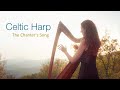 The chanters song  lord mayo  on celtic harp by nadia birkenstock