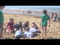 Clip de la grand sortie aan zee met nutons