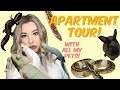 TOUR OF MY PERSONAL ZOO! (Apartment tour + 26 animals!)