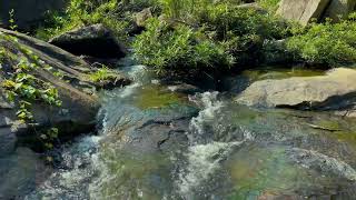 Go to Sleep with Stream Sounds | Relaxing Nature Sounds Sleeping, Relax, insomnia, Reduce Stress by Nature Sounds 138 views 2 weeks ago 10 hours