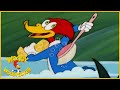 Woody Woodpecker Show | Goldiggers | Full Episode | Videos For Kids