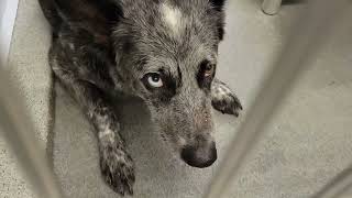 acs A681620