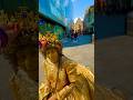 New gift for Gold Lady: GoldCrown #subscribe #video #viral #trending #youtube #shorts #tiktok #reel