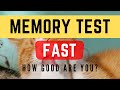 Memory Test #3 - Rapid Memory test