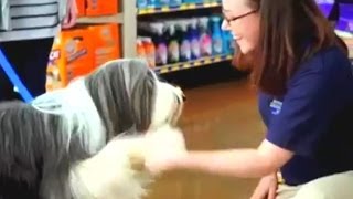 Happiness In Store At Petsmart Commercial