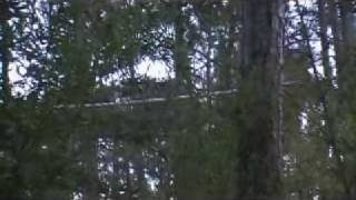 Mountain Man WOB throwing set up