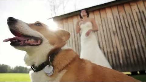 Behind the Scenes: Enchanted Wedding Photo Shoot 2013