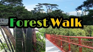 Forest Walk || Jovelyn Mirambel