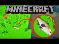 I Spent 24 Hours as a FISH in MINECRAFT