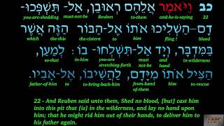 Genesis 37 - Bible Audio Hebrew and Subtitles in English
