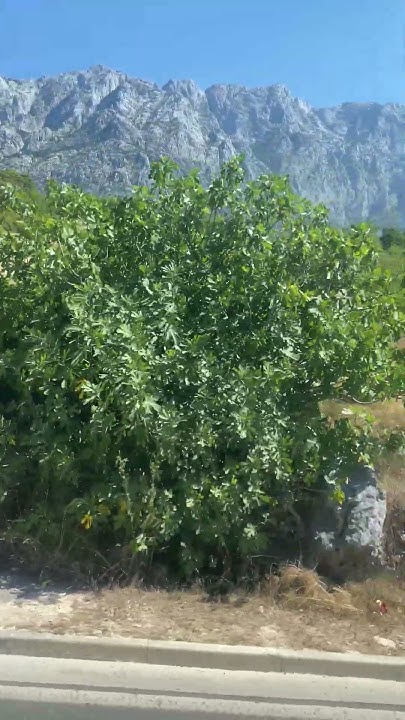 Makarska Croatia Макарська рівєра Хорватія - YouTube