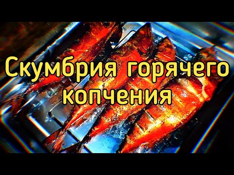 Скумбрия горячего копчения! Копченая скумбрия | ПАПА В ДЕЛЕ