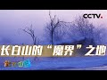 零下20°C竟冻不住一条河？哪些动物在长白山的冬日里依然活跃？20231226 冬日奇观2 |《地理·中国》CCTV科教