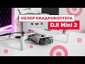Обзор DJI Mini 2 | ТОПовый квадрокоптер 2020