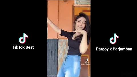 Kumpulan TikTok Viral 2021 | Goyang Pargoy x Parjamban | Part 11 #Tiktokbest