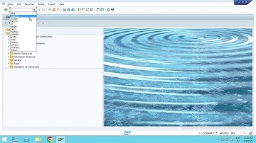 "Fix SAP Error: Entry TM01 Missing in Table T159L | MIGO Posting Issue Resolved in S/4HANA"