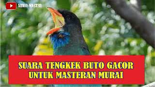 SUARA TENGKEK BUTO GACOR UNTUK MASTERAN MURAI