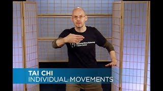 Tai Chi Individual Movements + Exercises screenshot 2