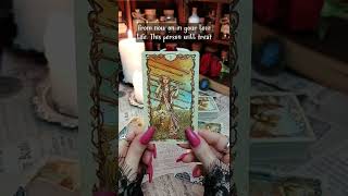 What's coming next in your love life? | Red Fairy Tarot #shorts