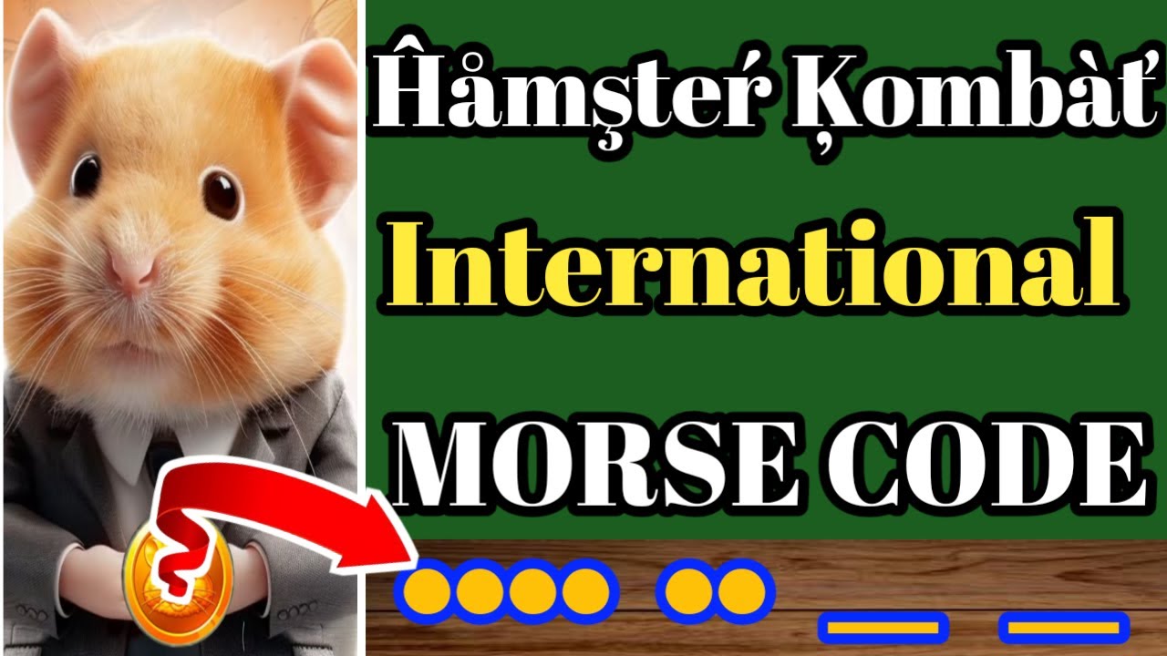 Hamster Kombat International Morse Code||Hamster Kombata||# ...